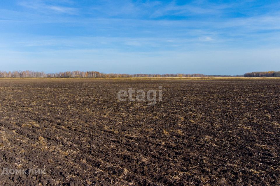 земля р-н Нижнетавдинский п Березовка ул Советская фото 7