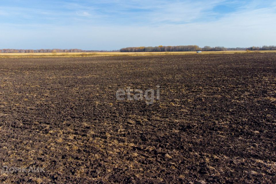 земля р-н Нижнетавдинский п Березовка ул Советская фото 8