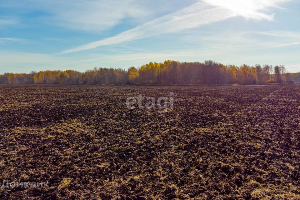 земля р-н Нижнетавдинский п Березовка ул Советская фото 5