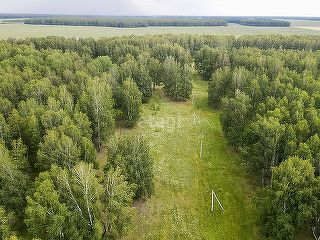 земля р-н Нижнетавдинский деревня Малый Хутор, Дорожная улица фото 5