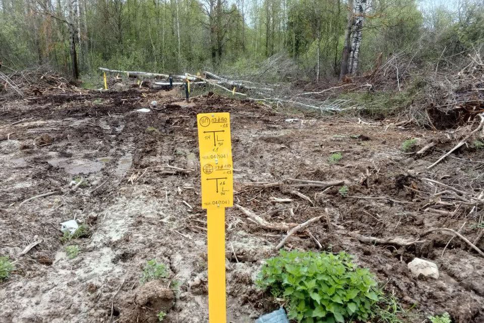 земля р-н Богородский д Инютино ул Инютинская 70 фото 10