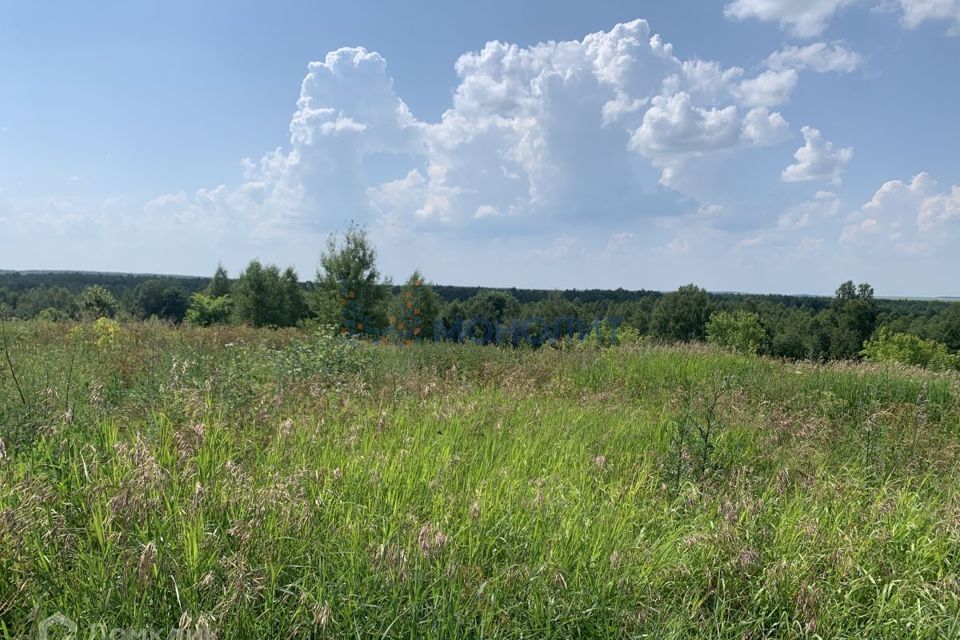 земля р-н Богородский сельский посёлок Зелёный Дол фото 5