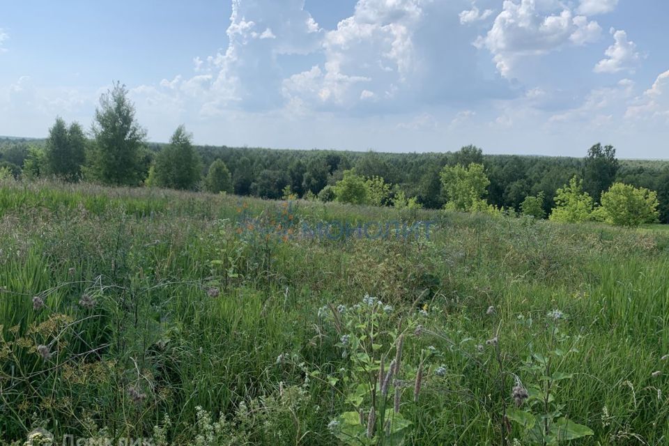 земля р-н Богородский сельский посёлок Зелёный Дол фото 6