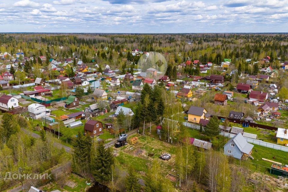 земля р-н Тосненский массив Рубеж, садоводческое некоммерческое товарищество Дубрава фото 5