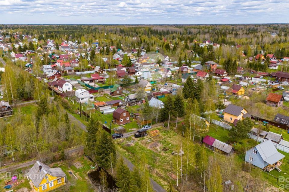 земля р-н Тосненский массив Рубеж, садоводческое некоммерческое товарищество Дубрава фото 6