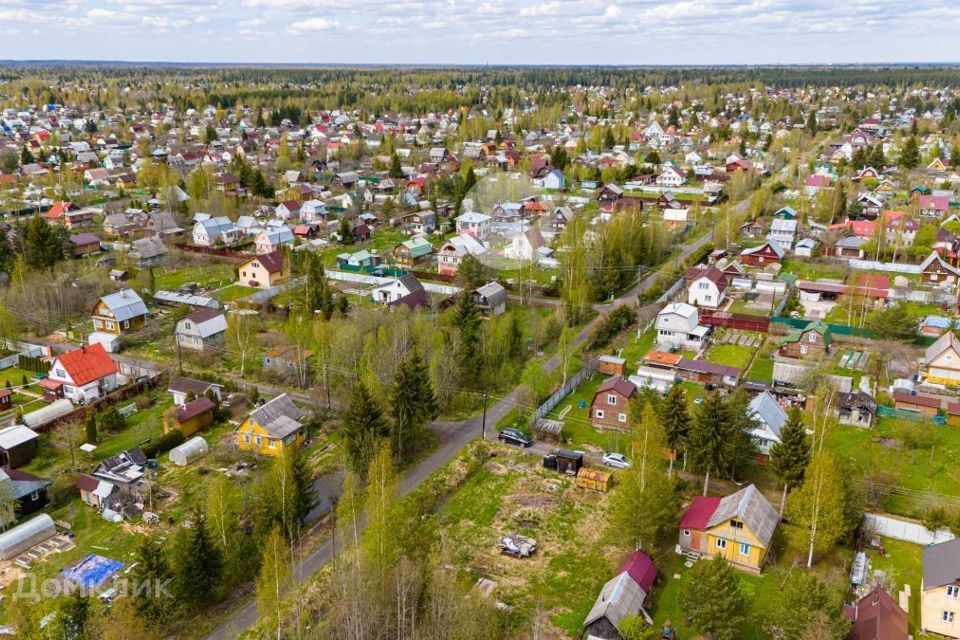 земля р-н Тосненский массив Рубеж, садоводческое некоммерческое товарищество Дубрава фото 8