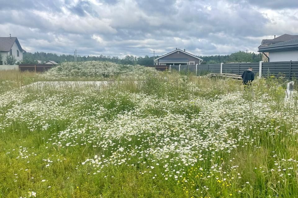 земля городской округ Мытищи село Федоскино фото 6