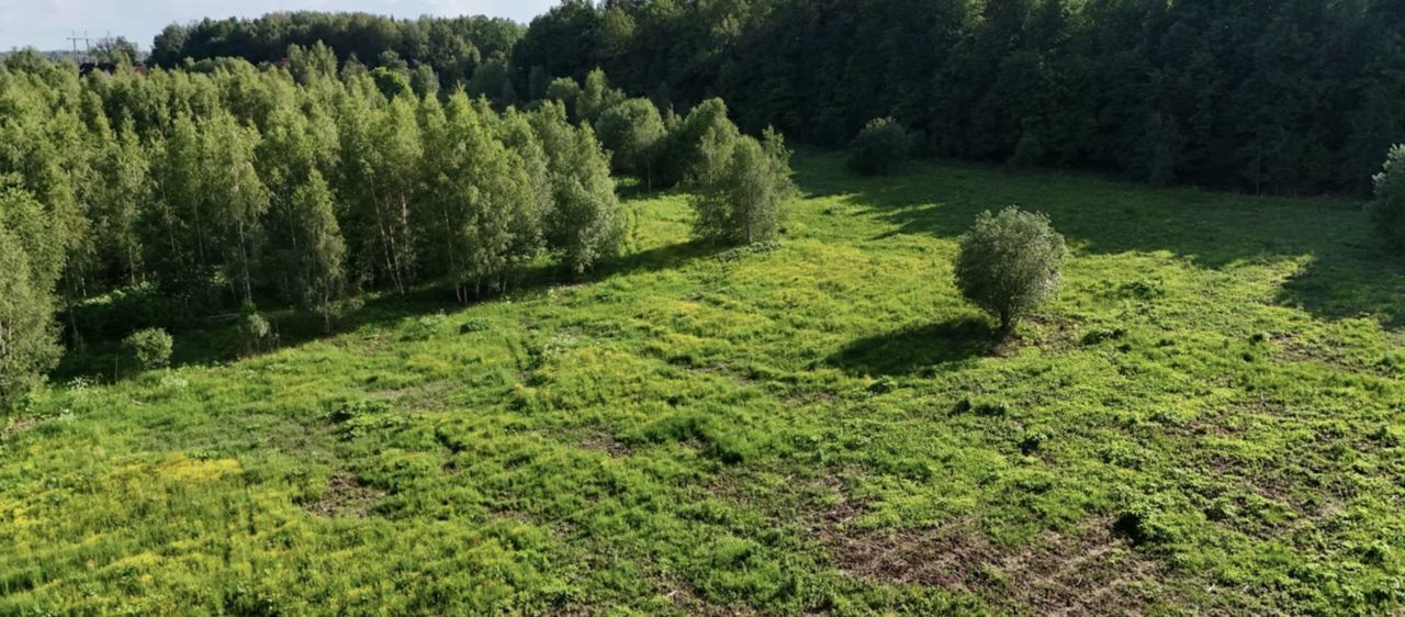 земля городской округ Дмитровский рп Икша коттеджный пос. Усадьбы Удино фото 7