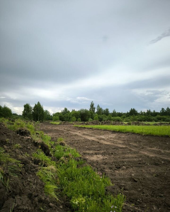 земля городской округ Раменский д Глебово Речицы фото 2