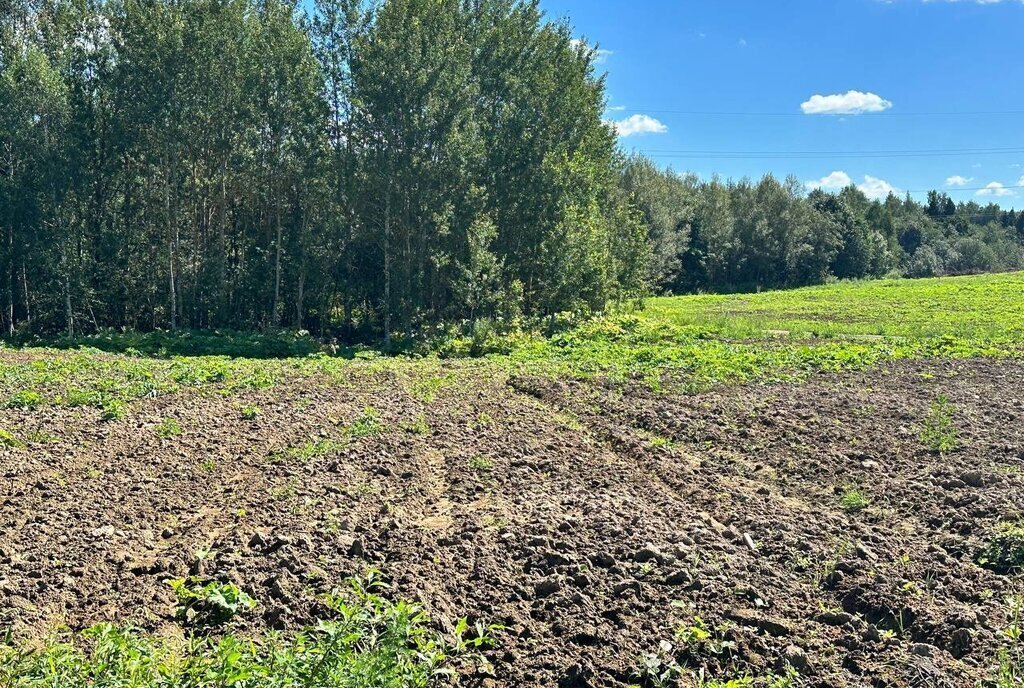 земля городской округ Солнечногорск д Сергеевка Зеленоград — Крюково фото 12