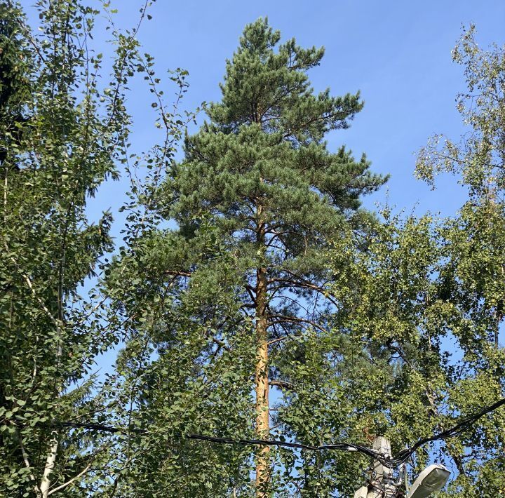 земля г Жуковский тер Фортуна Одинцовский городской округ фото 2