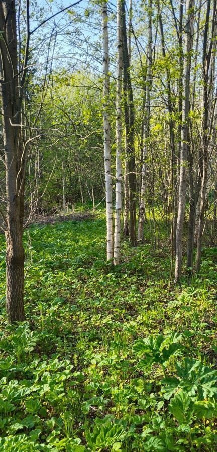 земля р-н Кирово-Чепецкий д Лагуновы Федяковское сельское поселение, Киров фото 4