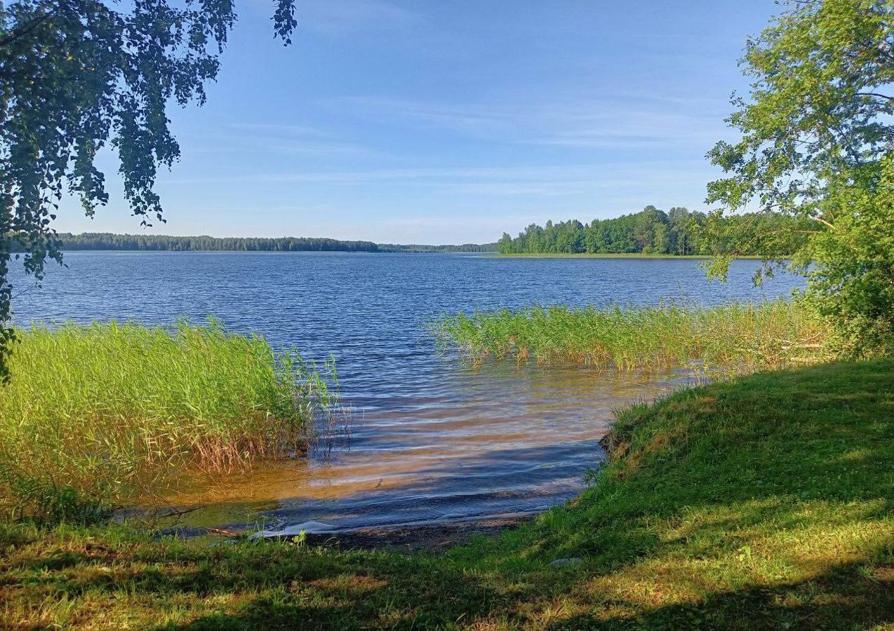 земля р-н Белозерский д Лесуково Белозерск фото 11