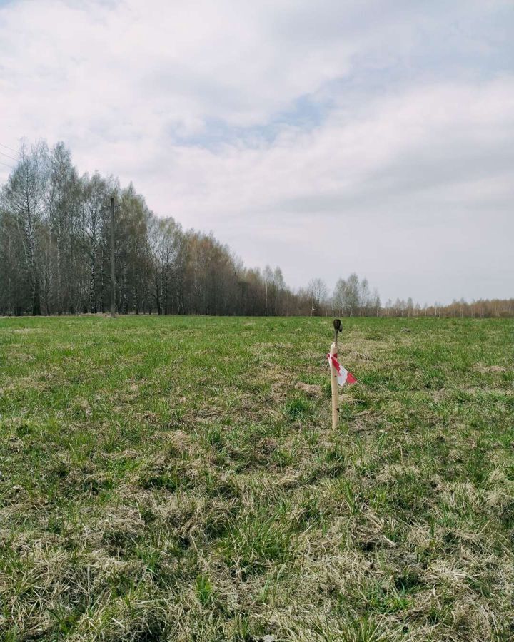 земля р-н Некрасовский д Грешнево сельское поселение Красный Профинтерн, Некрасовское фото 11