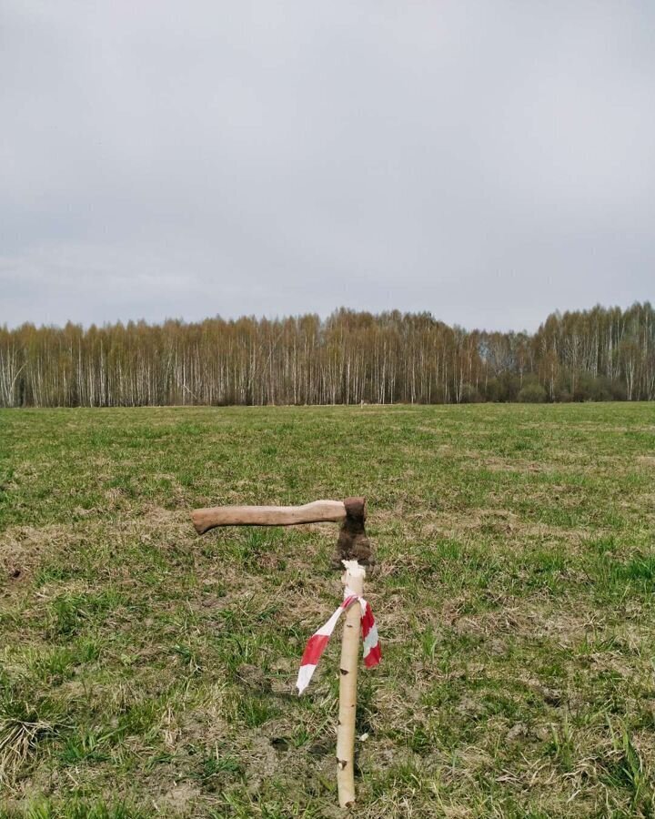 земля р-н Некрасовский д Грешнево сельское поселение Красный Профинтерн, Некрасовское фото 14