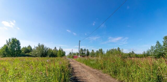 р-н Центральный ул Вишневая нка садовое товарищество фото