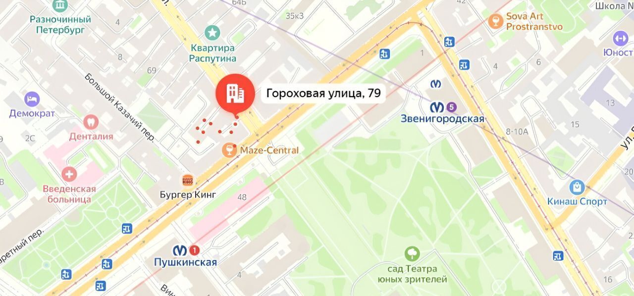 свободного назначения г Санкт-Петербург метро Пушкинская ул Гороховая 79 фото 5