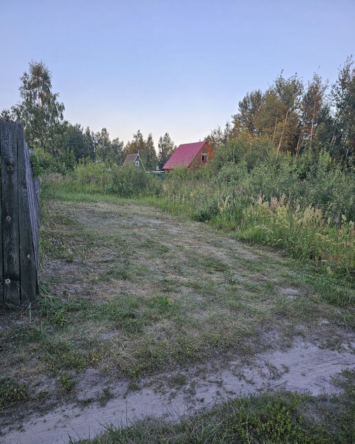 земля городской округ Орехово-Зуевский садовое товарищество Три Сестры, 165, Орехово-Зуево фото 11