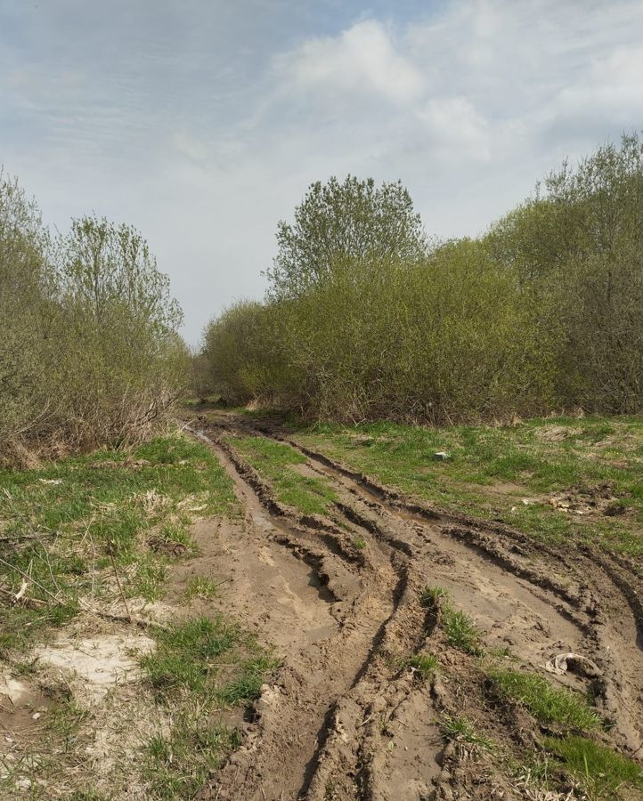 земля городской округ Дмитровский д Аладьино Рогачево фото 5