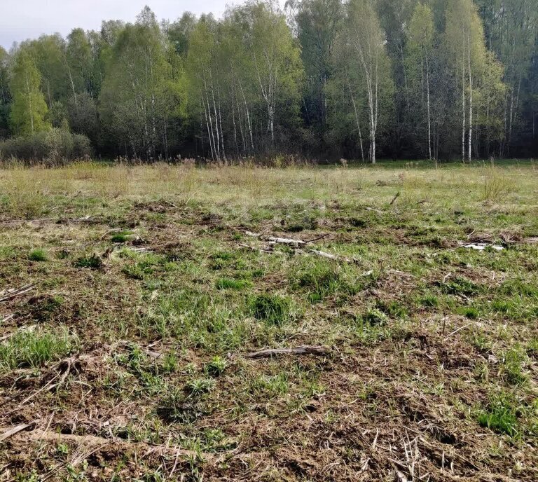 земля городской округ Пушкинский д Степаньково фото 5