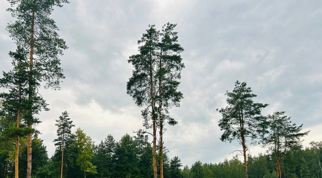 дом городской округ Раменский д Копнино Удельная фото 13