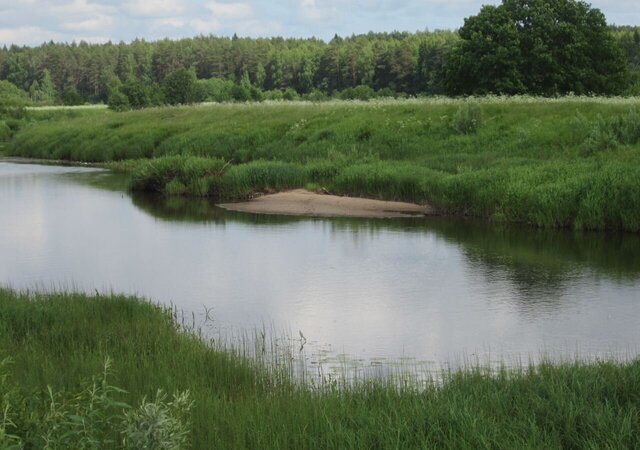 земля д Сорокино Рамешки фото