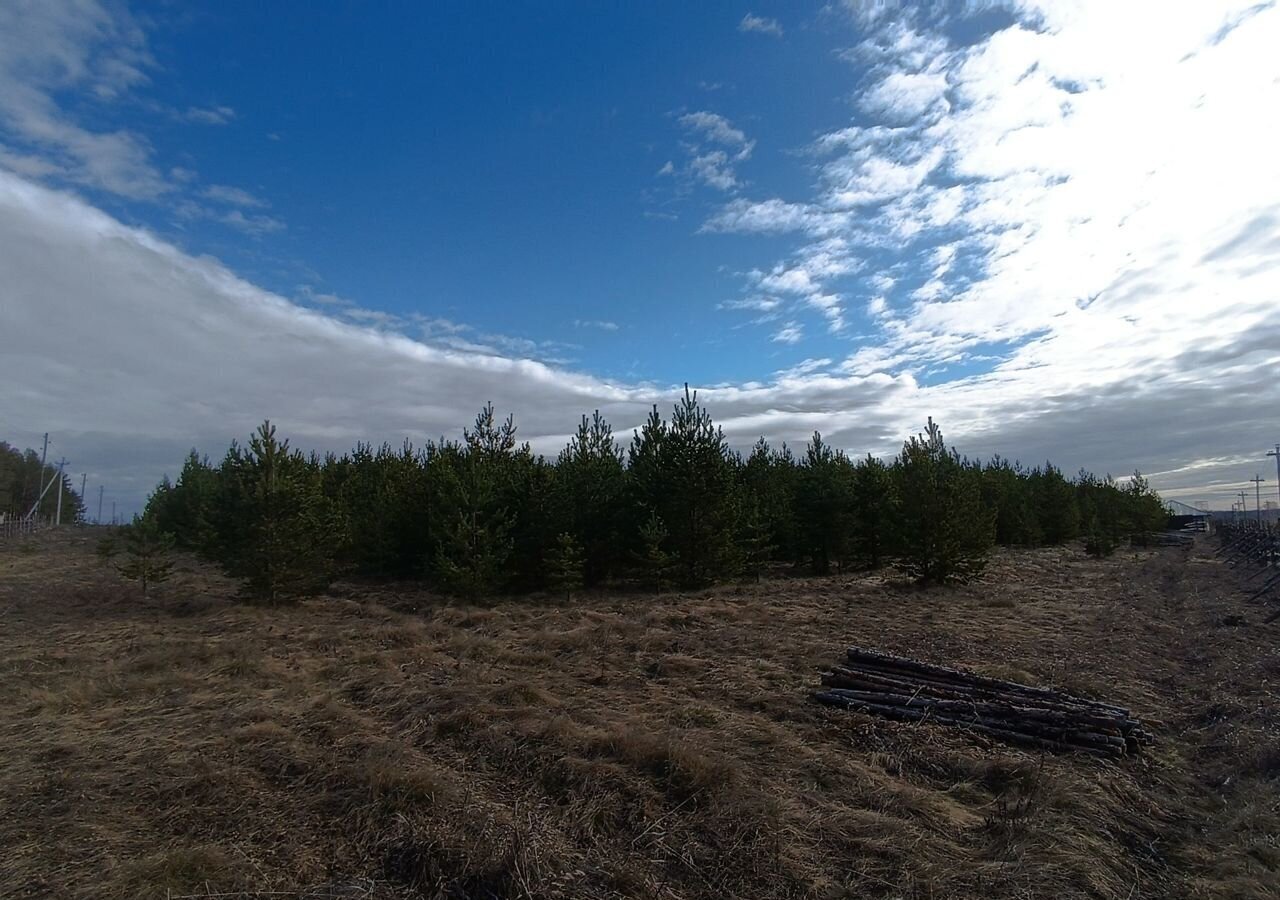 земля р-н Каменский д Бекленищева Каменск-Уральский фото 4