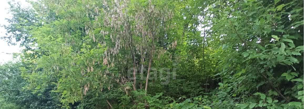 земля г Горно-Алтайск снт Тугаинское садоводческое товарищество фото 5