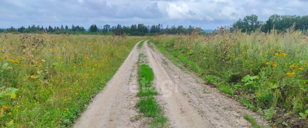 земля р-н Тутаевский д Павловское ул Полевая Константиновское с/пос фото 4