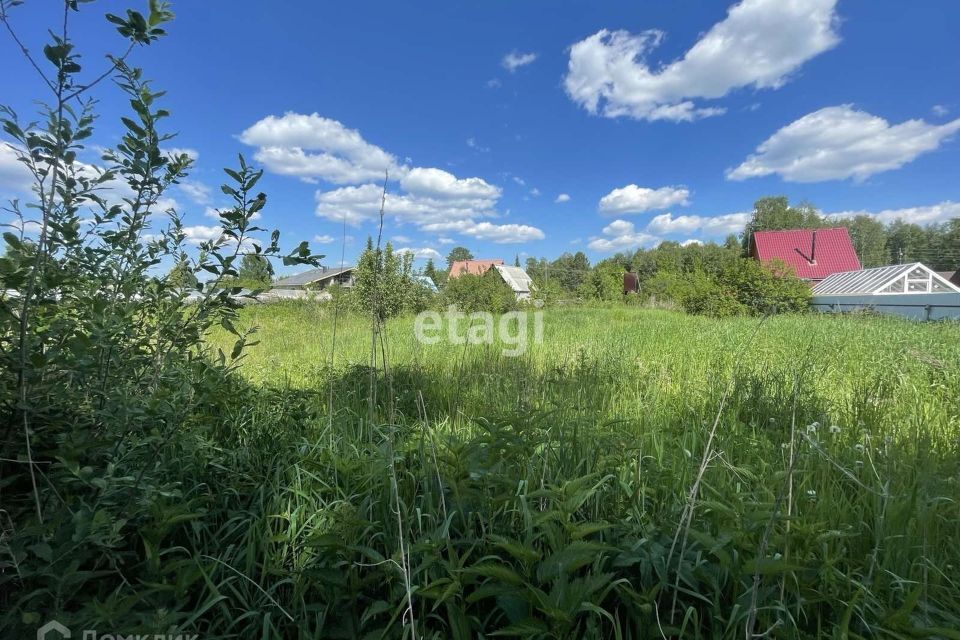 земля г Тюмень снт Поляна городской округ Тюмень, Лесная улица фото 2