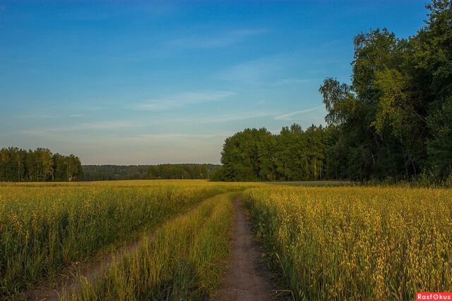 земля Кемеровская область — Кузбасс, жилой район Боровой, Кемеровский городской округ фото