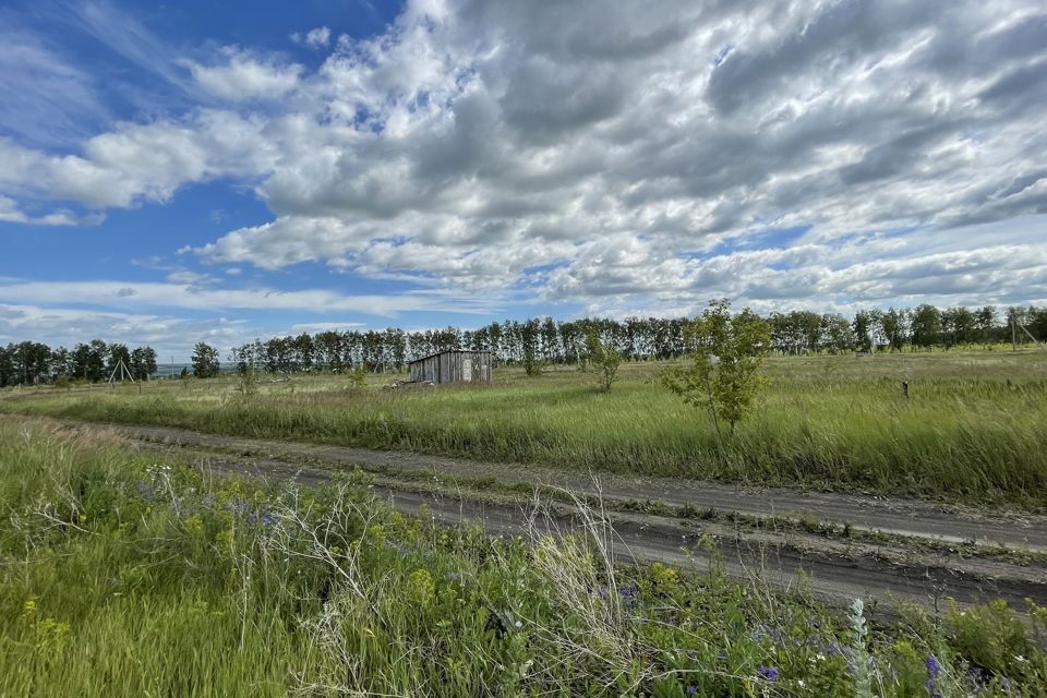 земля р-н Ульяновский село Луговое фото 3