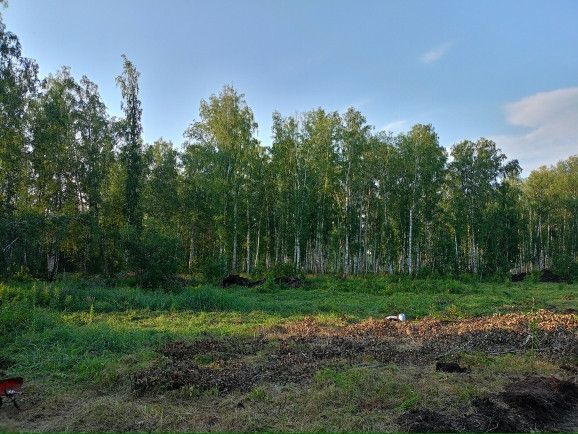 земля р-н Сосновский с Большие Харлуши Загородная улица фото 2