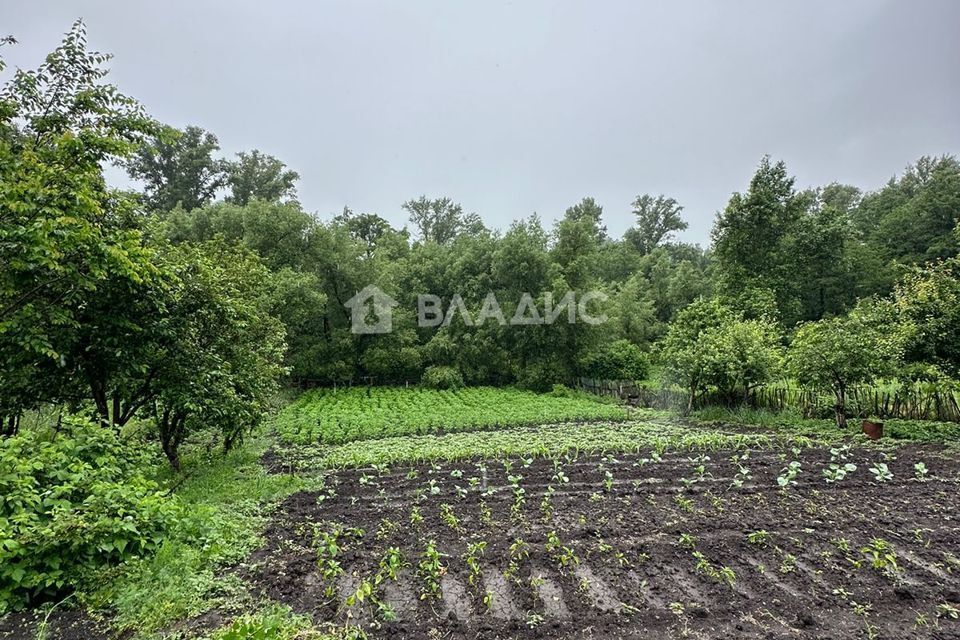 дом р-н Кувандыкский село Сара фото 2