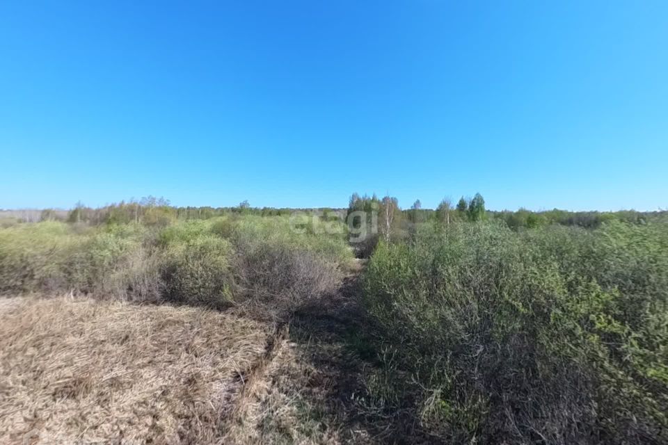 земля г Тюмень городской округ Тюмень, Садоводческое общество Виктория-1 фото 9