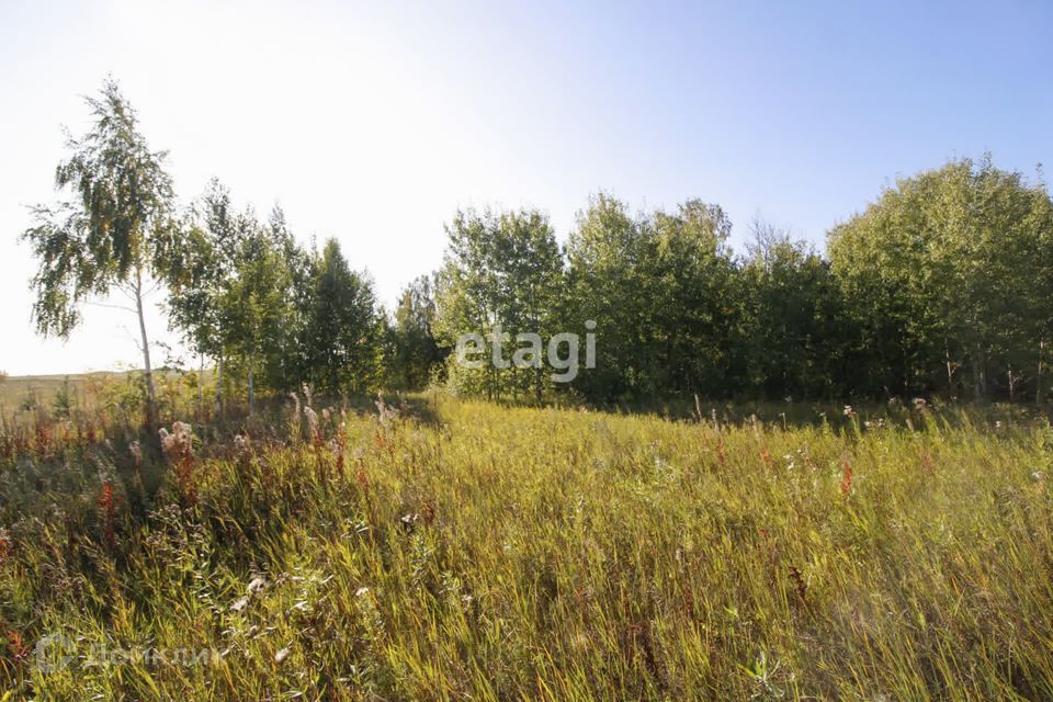 земля р-н Тюменский село Луговое фото 7