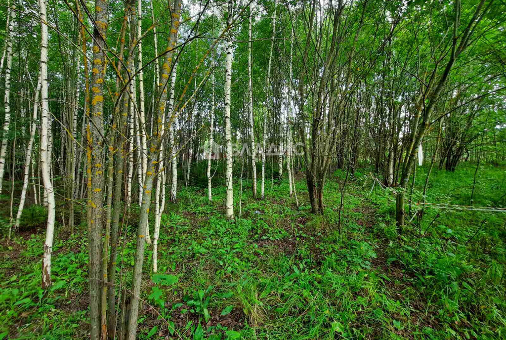 земля г Владимир мкр Пиганово р-н Ленинский фото 13