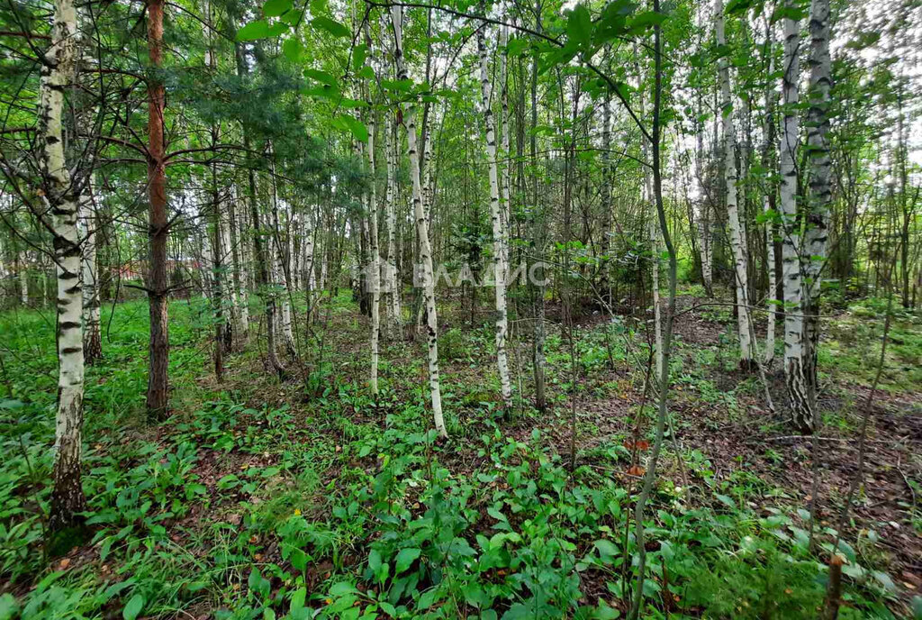 земля г Владимир мкр Пиганово р-н Ленинский фото 19