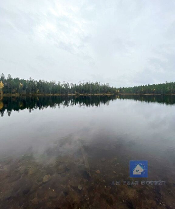 дом р-н Лоухский пгт Пяозерский ул Озерная Пяозерское городское поселение фото 14