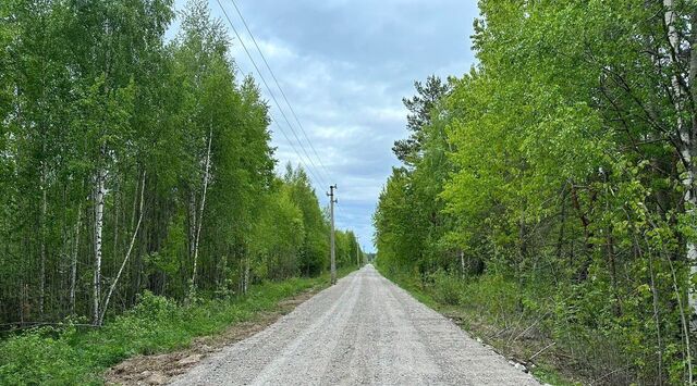 днп Проба Рахьинское городское поселение фото