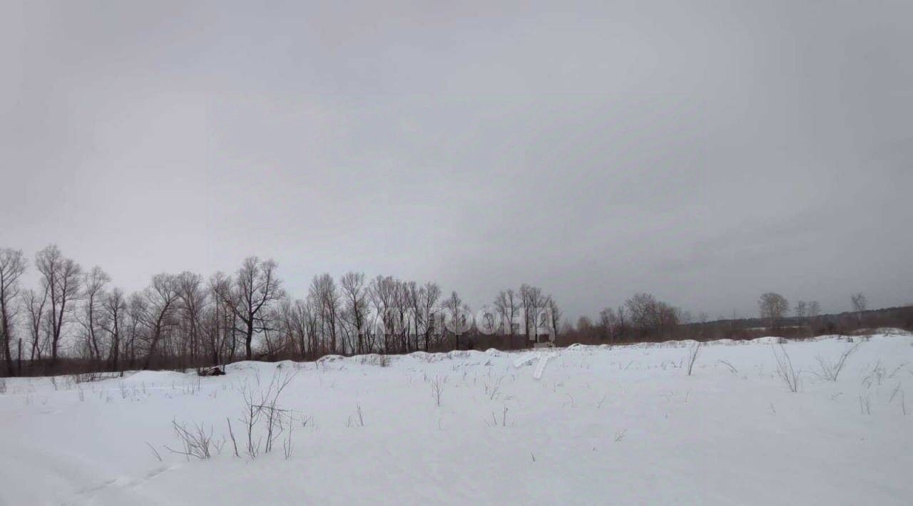 земля р-н Новосибирский Кубовинский сельсовет, Обская слобода ДНТ фото 8