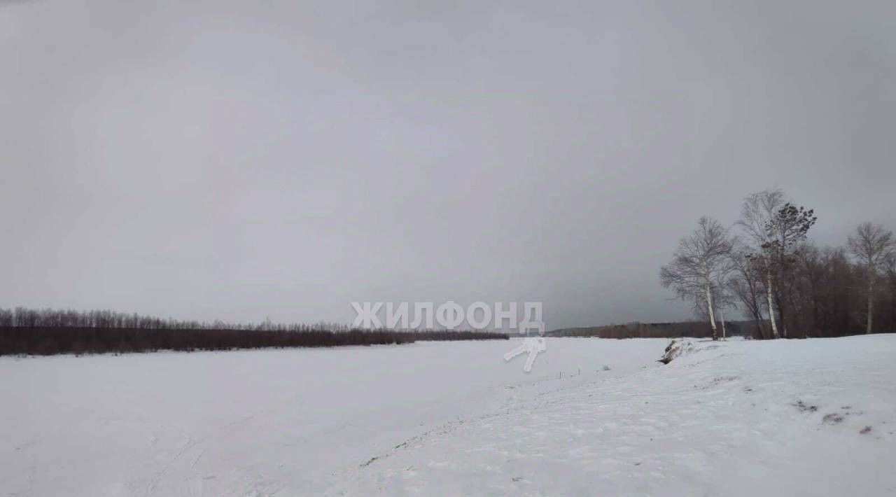 земля р-н Новосибирский Кубовинский сельсовет, Обская слобода ДНТ фото 11