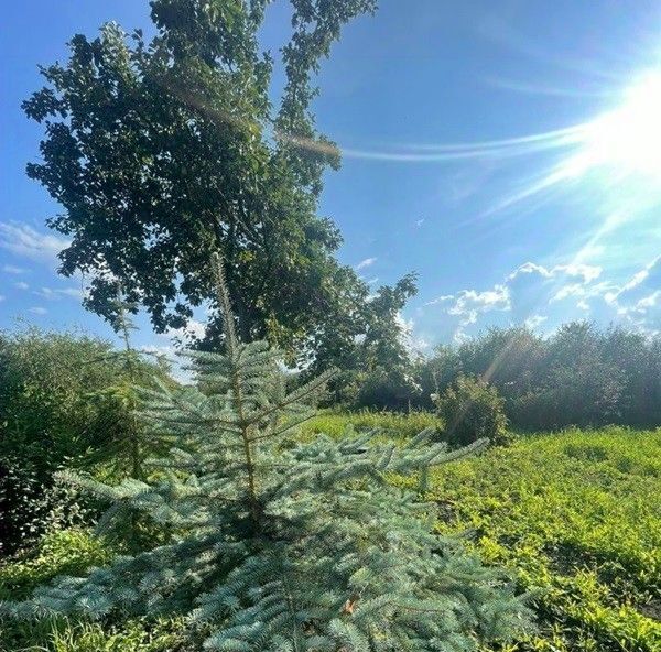 дом р-н Зеленодольский пгт Нижние Вязовые ул Большая Юртовская муниципальное образование фото 10