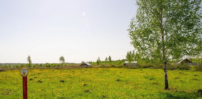 земля р-н Заокский д Кортнево Демидовское муниципальное образование, 1 фото 17