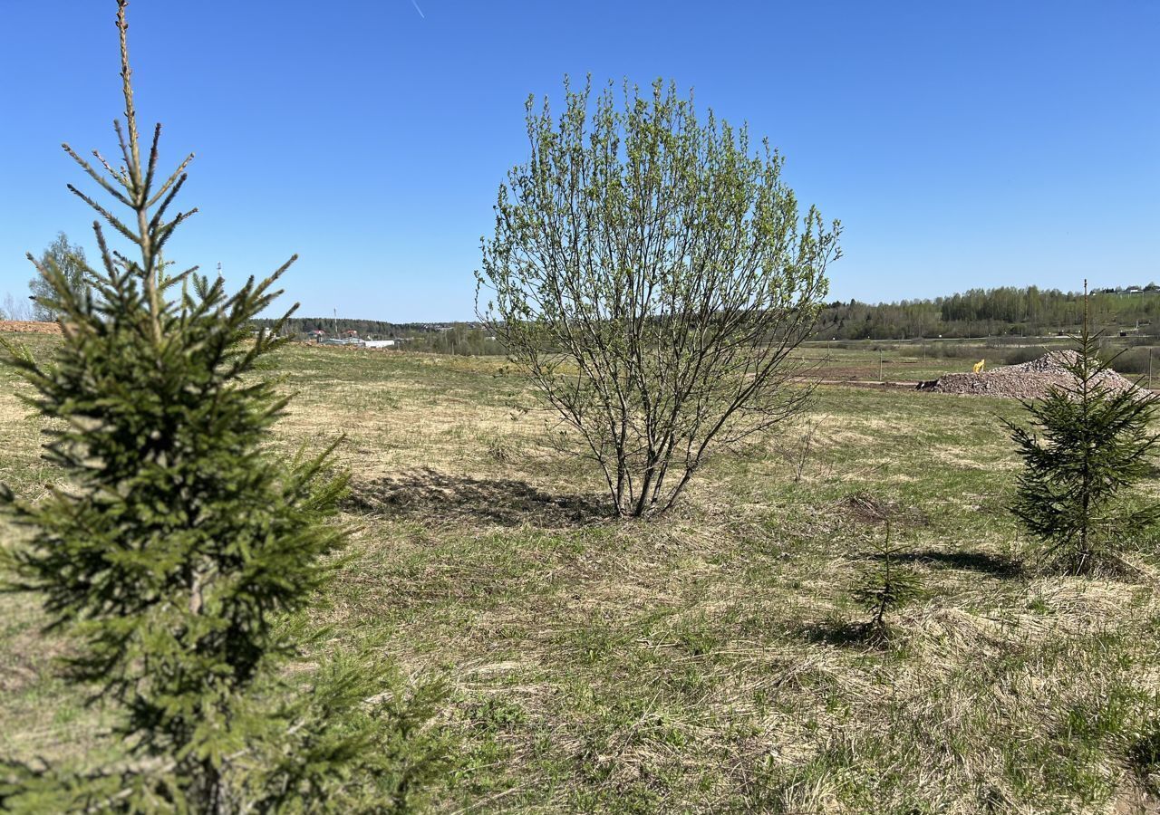 земля городской округ Дмитровский д Медведково Икша фото 6