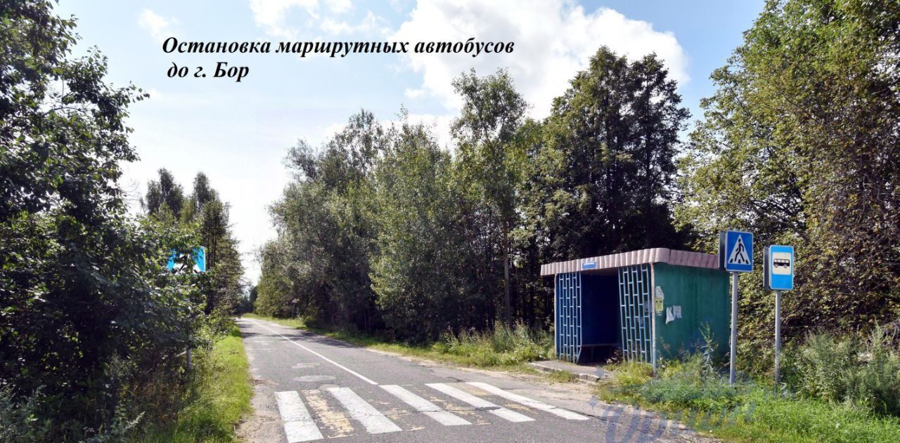 земля Бор городской округ, д. Волчиха фото 8