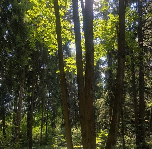 Гранат СНТ, Крёкшино фото