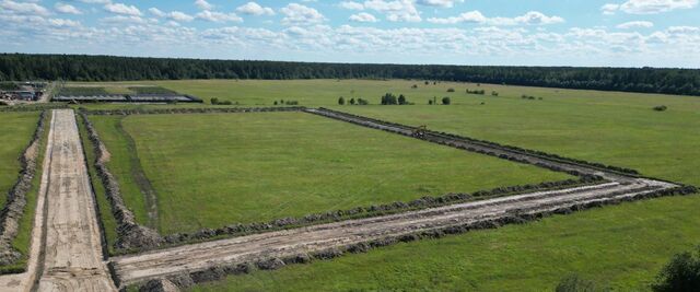 Тельмановское городское поселение, технопарк фото