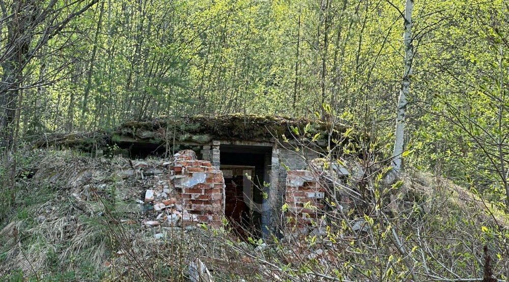 офис р-н Выборгский Каменногорское городское поселение фото 11