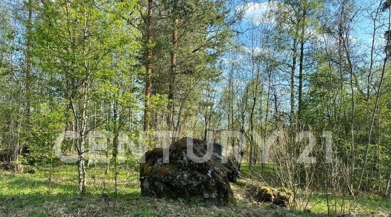 офис р-н Выборгский Каменногорское городское поселение фото 14